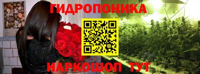 mdpv Кимры