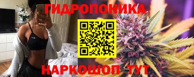 mdpv Кимры