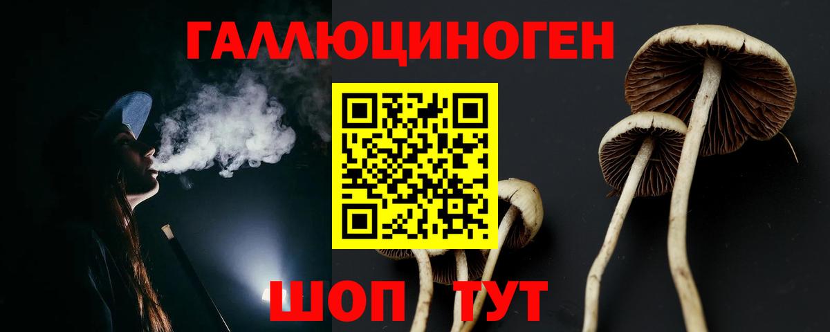 Псилоцибиновые грибы мицелий Красноярск